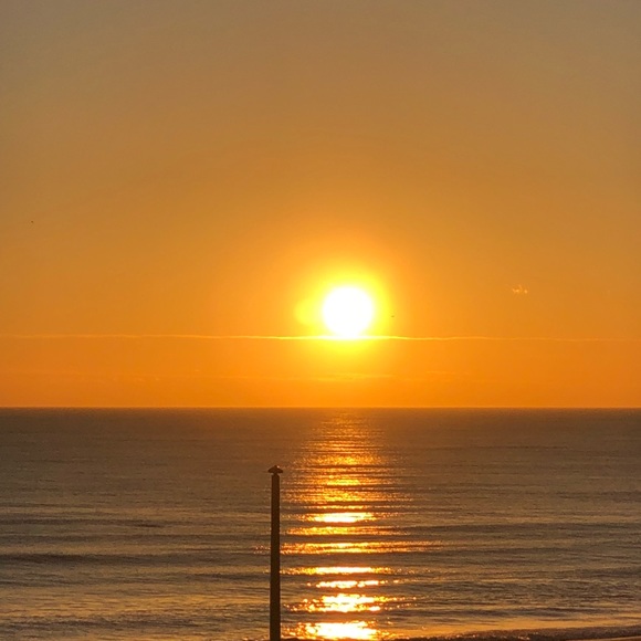 Meet your Posher, Aida - Picture 1 of 1